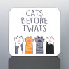 Funny Cat Mug