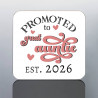 Great Auntie Mug - Promoted to Great Aunt Birthday Gift - 2026 Baby Announcement Gift for Aunty