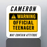 teenager gift