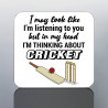 Funny Cricket Mug
