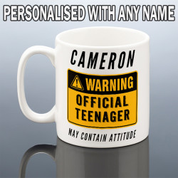 Funny 13th Birthday mug Teenager