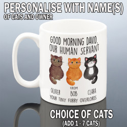 CAT DAD MUG