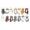 CATS Illustrations guide