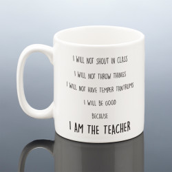 FUNNY TEACHER MUG