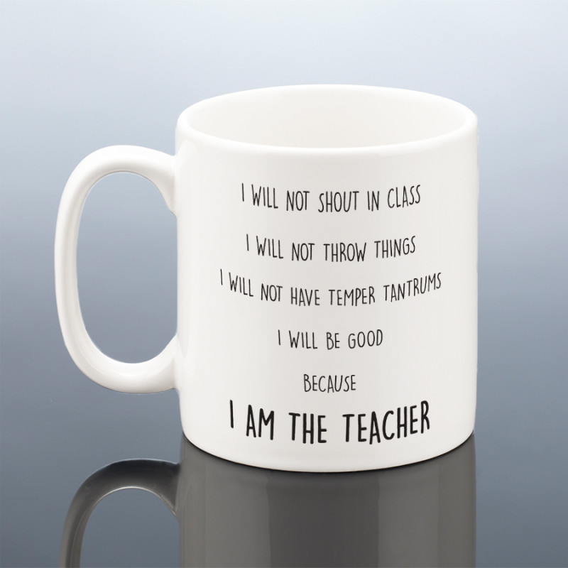 FUNNY TEACHER MUG