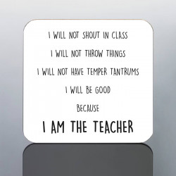FUNNY TEACHER MUG
