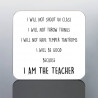FUNNY TEACHER MUG